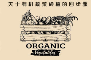 什么是有机蔬菜种植，关于有机蔬菜种植的四步骤。
