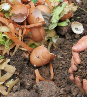 DIY教学｜绿康有机肥如何简单堆肥你的厨余垃圾