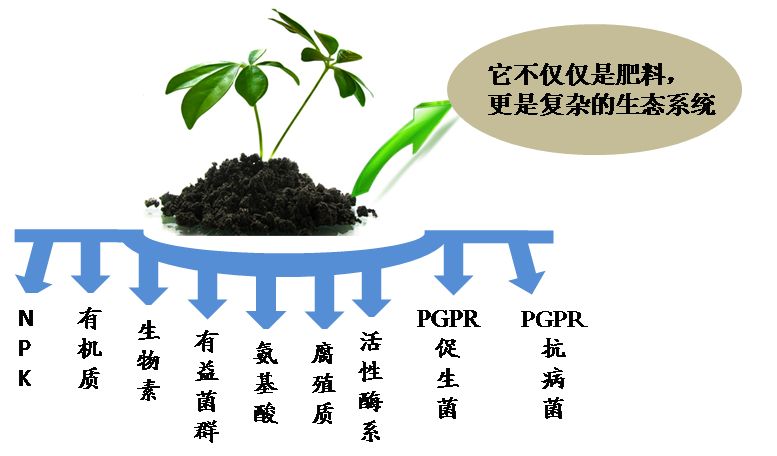 有机肥中的有益微生物超详解