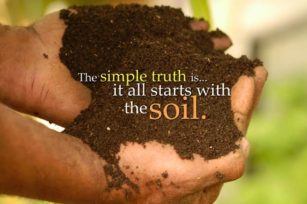 健康土壤指南，我是否需要有机堆肥来改良我的土壤？