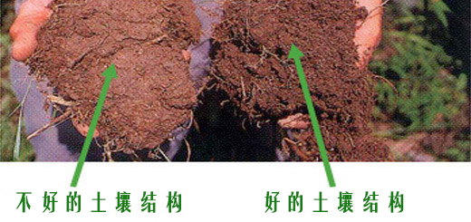 土壤结构_区别土壤结构好坏