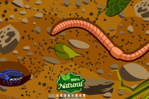 谁最好的土壤技术员，蚯蚓粪为什么被叫作有机肥之王？