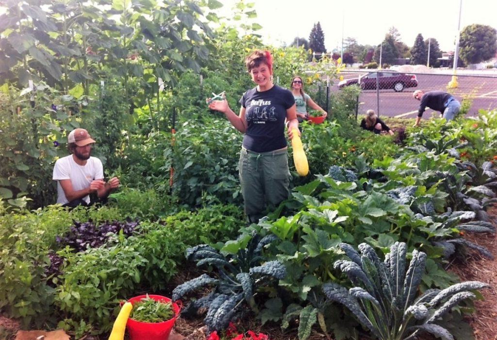 城市厨余堆肥及社区花园实践指南