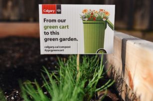 城市厨余堆肥及社区花园实践指南，如何打造我们的“城市森林”