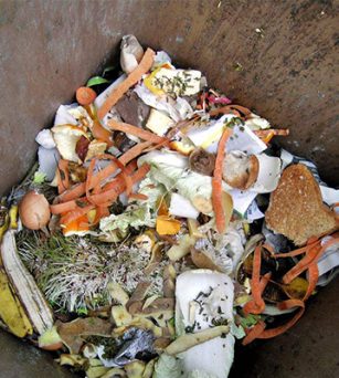 厨余垃圾变废为宝，自制有机肥教学