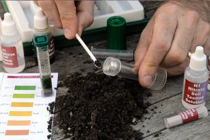 那么如何鉴别土壤酸碱度？土壤酸碱度对作物有哪些影响？